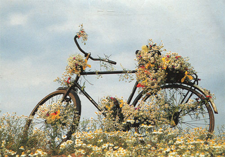 Flower bike